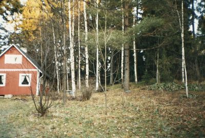 Tammipaant26_virtanen1.jpg