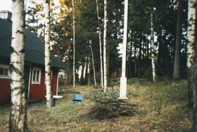 Tammipaant26_virtanen2.jpg