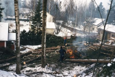 Tammipaant26_virtanen3.jpg