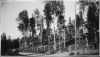 1937_s1a_Marjamaki-W1024.jpg