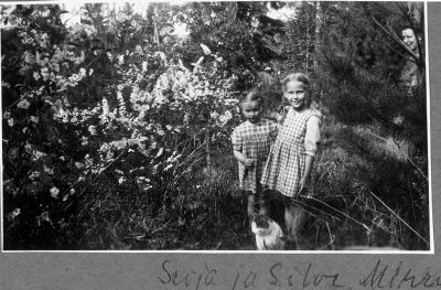 1947_s2c_silve_kissa-W1024.jpg