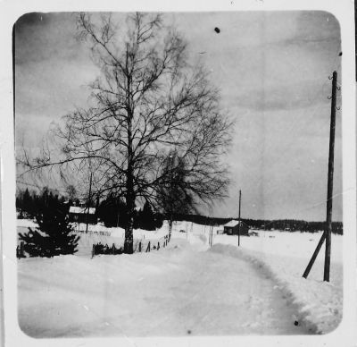 kansio1952_s1k1e-W1024.jpg