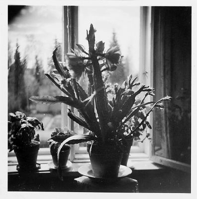 kansio1952_s20e-W1024.jpg