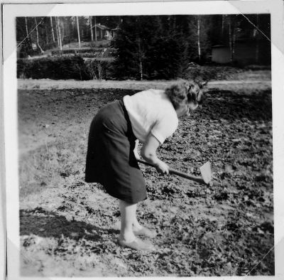 kansio1952_s2b-W1024.jpg