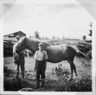 kansio1952_s4d-W1024.jpg