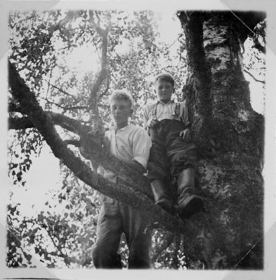 kansio1952_s4e-W1024.jpg