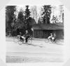 kansio1952_s10d_pyaralla-W1024.jpg