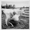 kansio1952_s14b_lypsylla-W1024.jpg