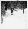 kansio1952_s16d_hiihtoa-W1024.jpg
