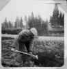 kansio1952_s3d-W1024.jpg