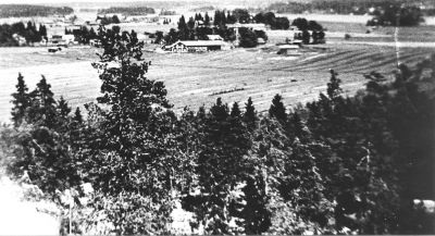 tprr_03.jpg