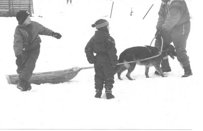 Taltap_07.jpg