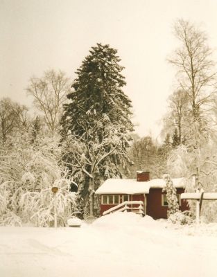 satku_028.jpg