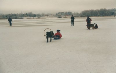 taltal_020.jpg
