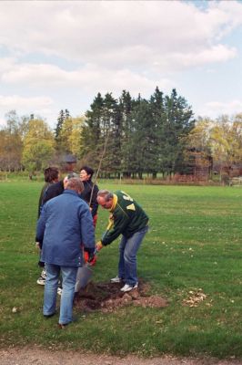 _19_0032.jpg