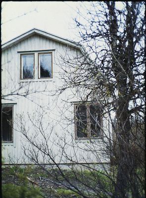 valkoinen_willa_1.jpg