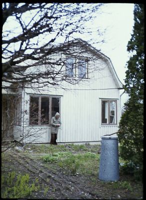 valkoinen_willa_2.jpg