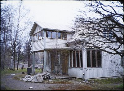 valkoinen_willa_4.jpg