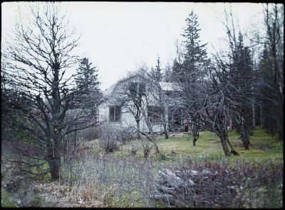 valkoinen_willa_5.jpg