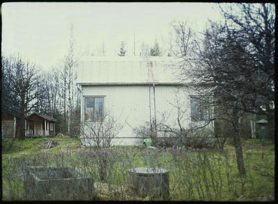 valkoinen_willa_9.jpg