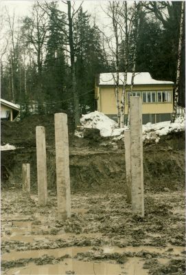 vanhatammi_s10a.jpg