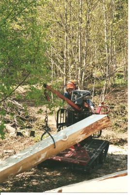 Jorma Voutilainen
Keywords: sierimo,voutilainen,tammenterho