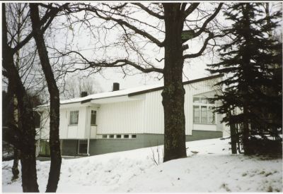 tammipaantie_ilmakuva3.jpg